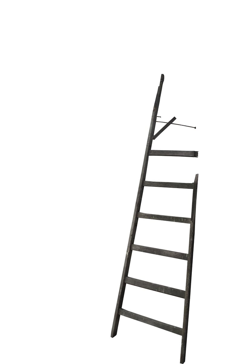 Ladder Bookcase